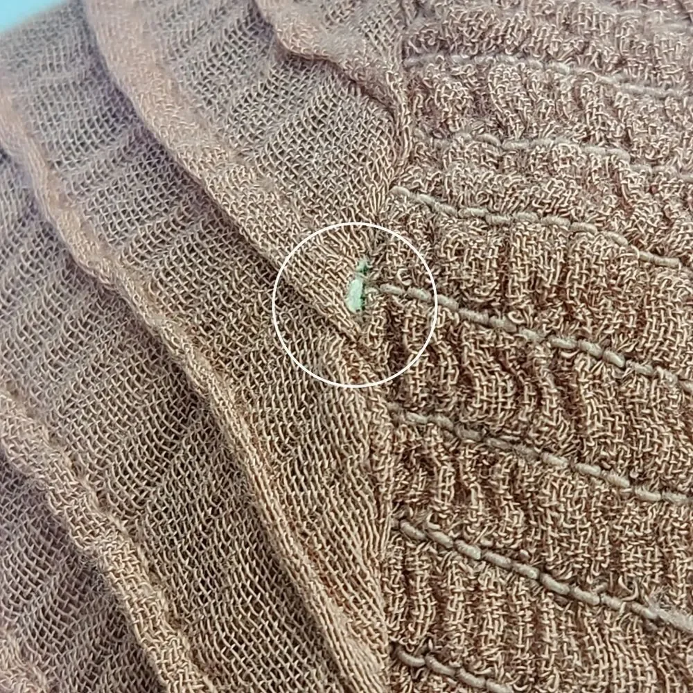 Free People nwt free